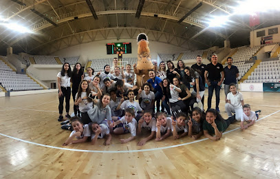 Basketmania Spor Kulübü Derneği