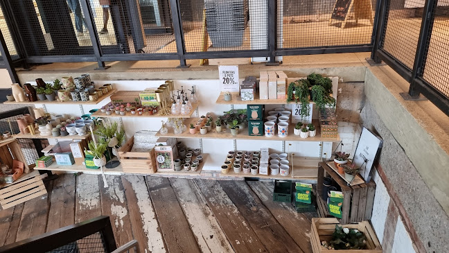 Reviews of Urban Outfitters in Nottingham - Clothing store