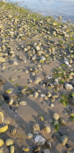 Park «Marine View Park», reviews and photos, 20945 Marine View Dr SW, Normandy Park, WA 98166, USA