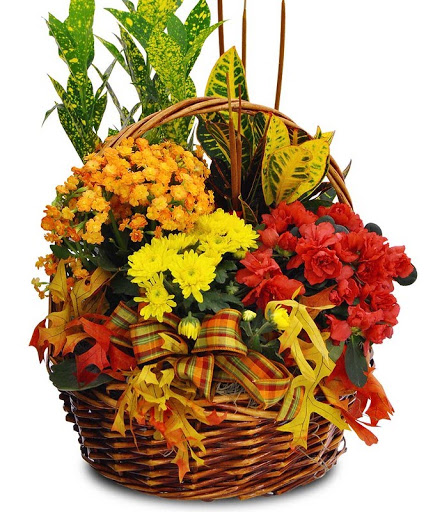 Florist «Alfa Flower Shop», reviews and photos, 7001 W North Ave, Wauwatosa, WI 53213, USA