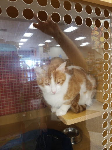 Pet Supply Store «Petco Animal Supplies», reviews and photos, 10060 US Highway 40 G-150, Ellicott City, MD 21042, USA