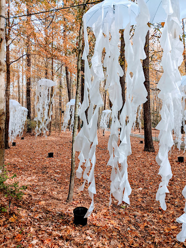 Art Center «Annmarie Sculpture Garden and Arts Center», reviews and photos, 13480 Dowell Rd, Dowell, MD 20629, USA