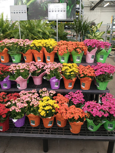 Department Store «Walmart Supercenter», reviews and photos, 2405 Vestal Pkwy E, Vestal, NY 13850, USA