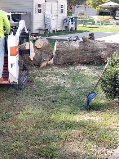 O & O Tree Services Tree Removal Trimming Cutting Service