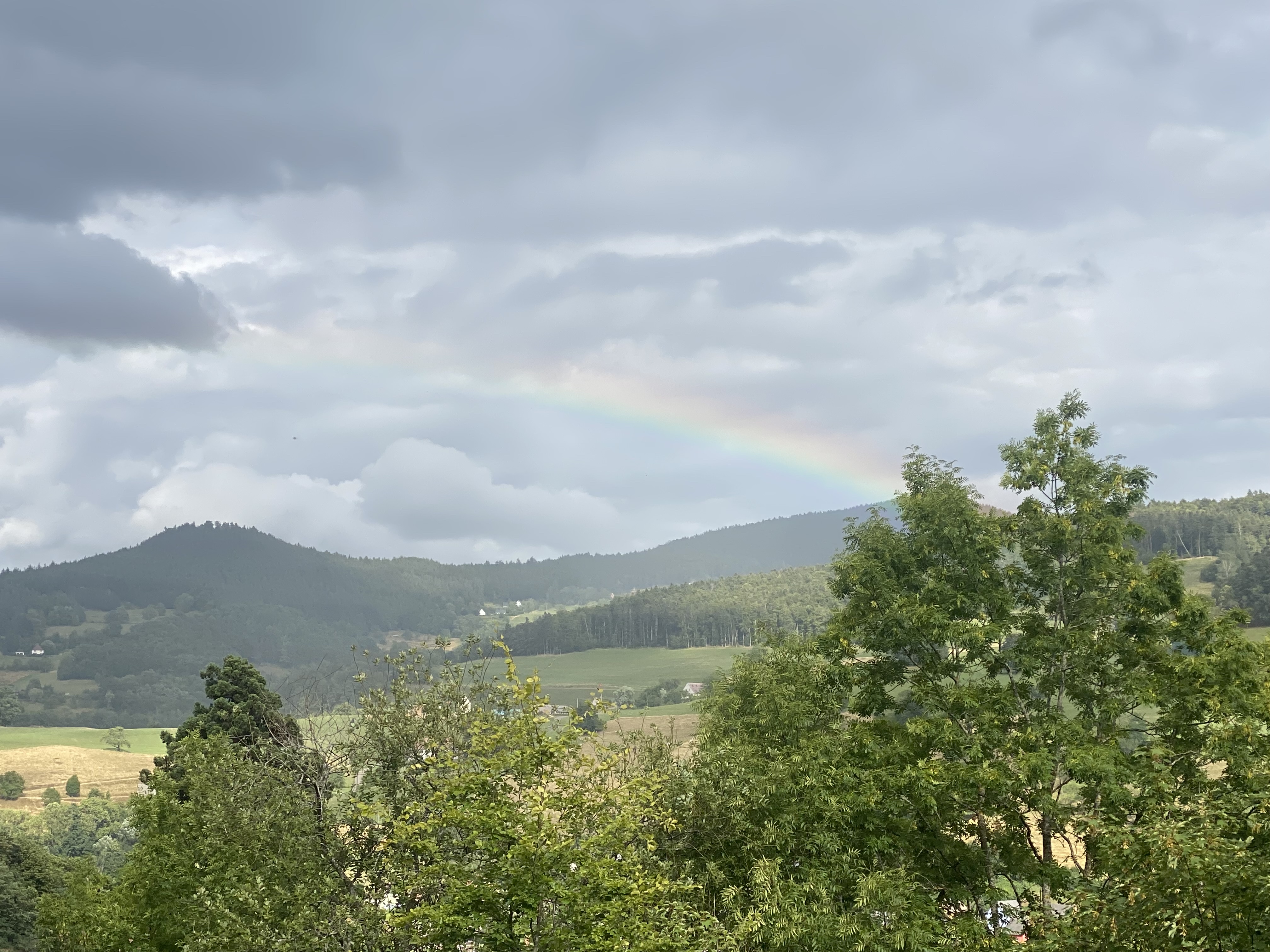 Photo n° 5 de l'avis de Xavier.a fait le 31/07/2023 à 10:16