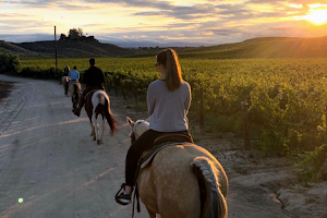 Wine Country Trails by Horseback image