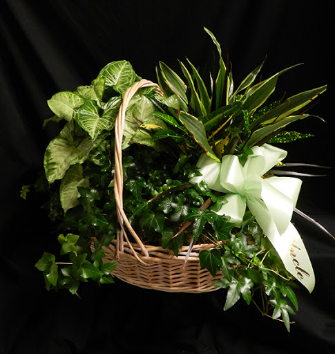 Florist «Caldwell Floral», reviews and photos, 103 S Kimball Ave, Caldwell, ID 83605, USA