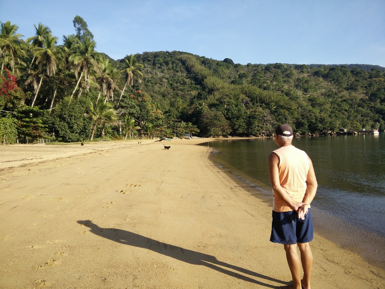 Praia da Tapera'in fotoğrafı vahşi alan