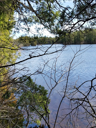 Community Park «Wells Mills County Park», reviews and photos, 905 Wells Mills Rd, Waretown, NJ 08758, USA