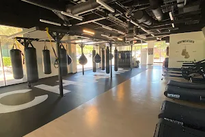 Mayweather Boxing + Fitness image