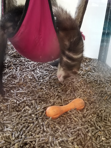 Pet Supply Store «Pet Supplies Plus», reviews and photos, 1970 Portage Trail, Cuyahoga Falls, OH 44223, USA