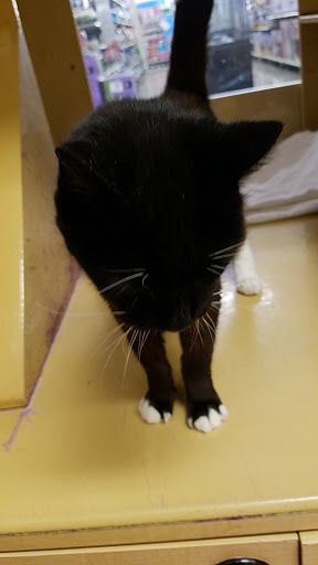 Pet Supply Store «PetSmart», reviews and photos, 128 Bailey Farm Rd, Monroe, NY 10950, USA