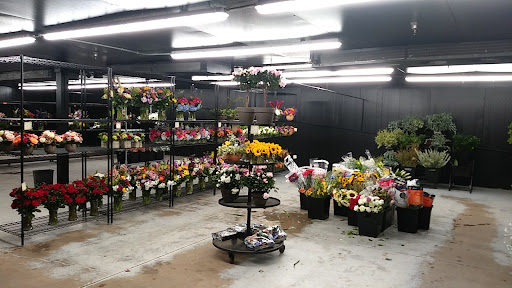 Flower market Dayton