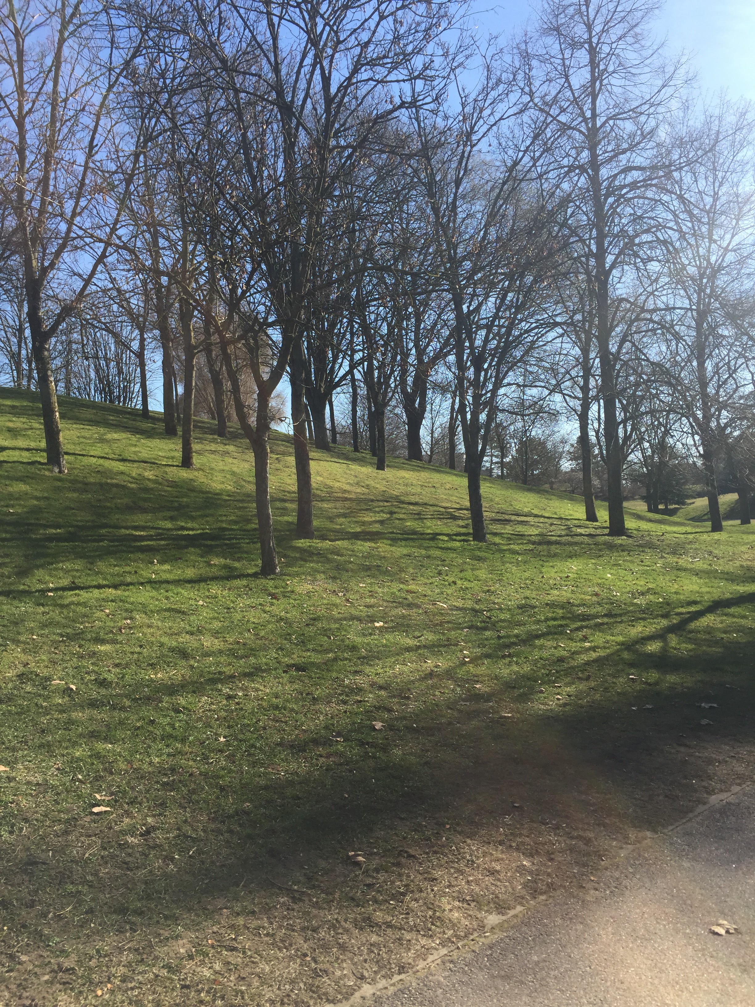 Photo n° 5 de l'avis de sarah.a fait le 17/02/2019 à 16:41