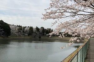桜ヶ池 image