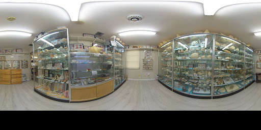 Gift Shop «Sanibel Seashell Industries», reviews and photos, 1544 Periwinkle Way, Sanibel, FL 33957, USA