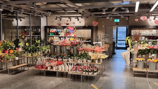 Opinii despre Coop Supermarkt Köniz Stapfenmärit în Bern - Supermarkt