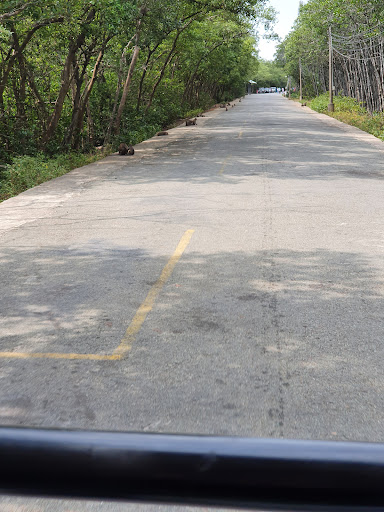 Top 20 cửa hàng play Huyện Cần Giờ Hồ Chí Minh 2022