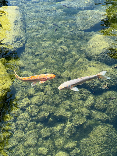 Zoo «Topeka Zoo», reviews and photos, 636 SW Zoo Pkwy, Topeka, KS 66606, USA