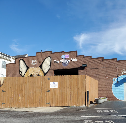 The Village Vets Virginia Highlands image