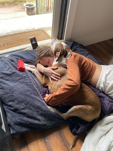 Pet Supply Store «Ma & Paws Bakery», reviews and photos, 1227 E 3300 S, Millcreek, UT 84106, USA