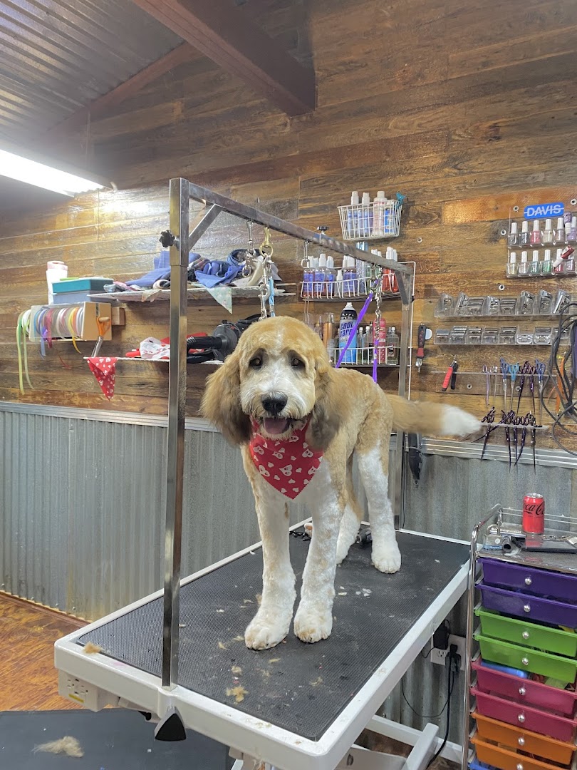 Country Pup's Grooming Salon