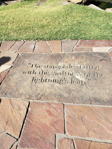 Park «Frisco Central Park», reviews and photos, 3155 Parkwood Blvd, Frisco, TX 75034, USA