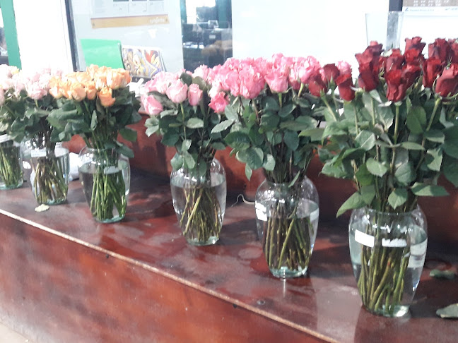 Opiniones de Floranation en Saquisili - Tienda de ultramarinos
