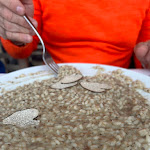 Photo n°1 de l'avis de Alfredo.i fait le 31/03/2024 à 13:48 sur le  Ristorante Pizzeria Il Tartufo à Campoli Appennino