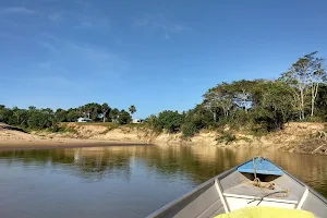 Riozinho da Liberdade Extractive Reserve image