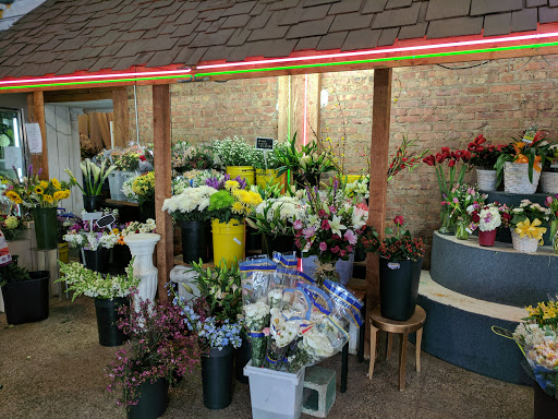 Florist «Westgate Flower & Plant Shop», reviews and photos, 841 S Oak Park Ave, Oak Park, IL 60304, USA