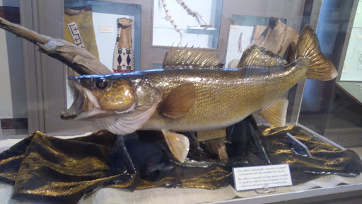 Museum «Elgin Public Museum», reviews and photos, 225 Grand Blvd, Elgin, IL 60120, USA