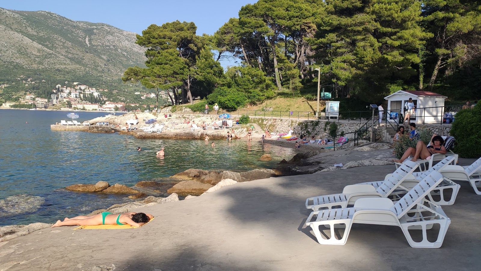 Beach Rat'in fotoğrafı düz bir kıyı şeridi ile birlikte