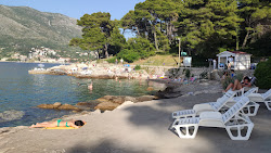 Beach Rat'in fotoğrafı düz bir kıyı şeridi ile birlikte