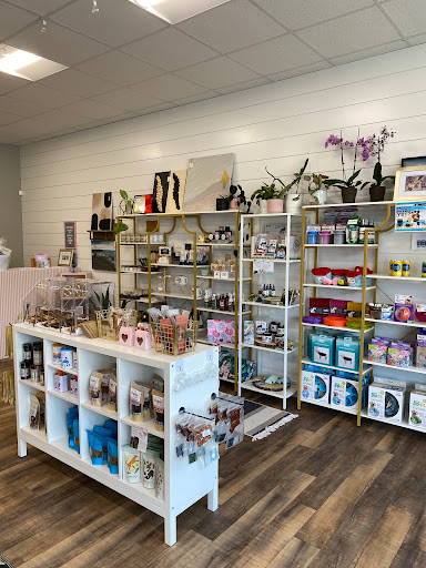 Spotted Nose Designs