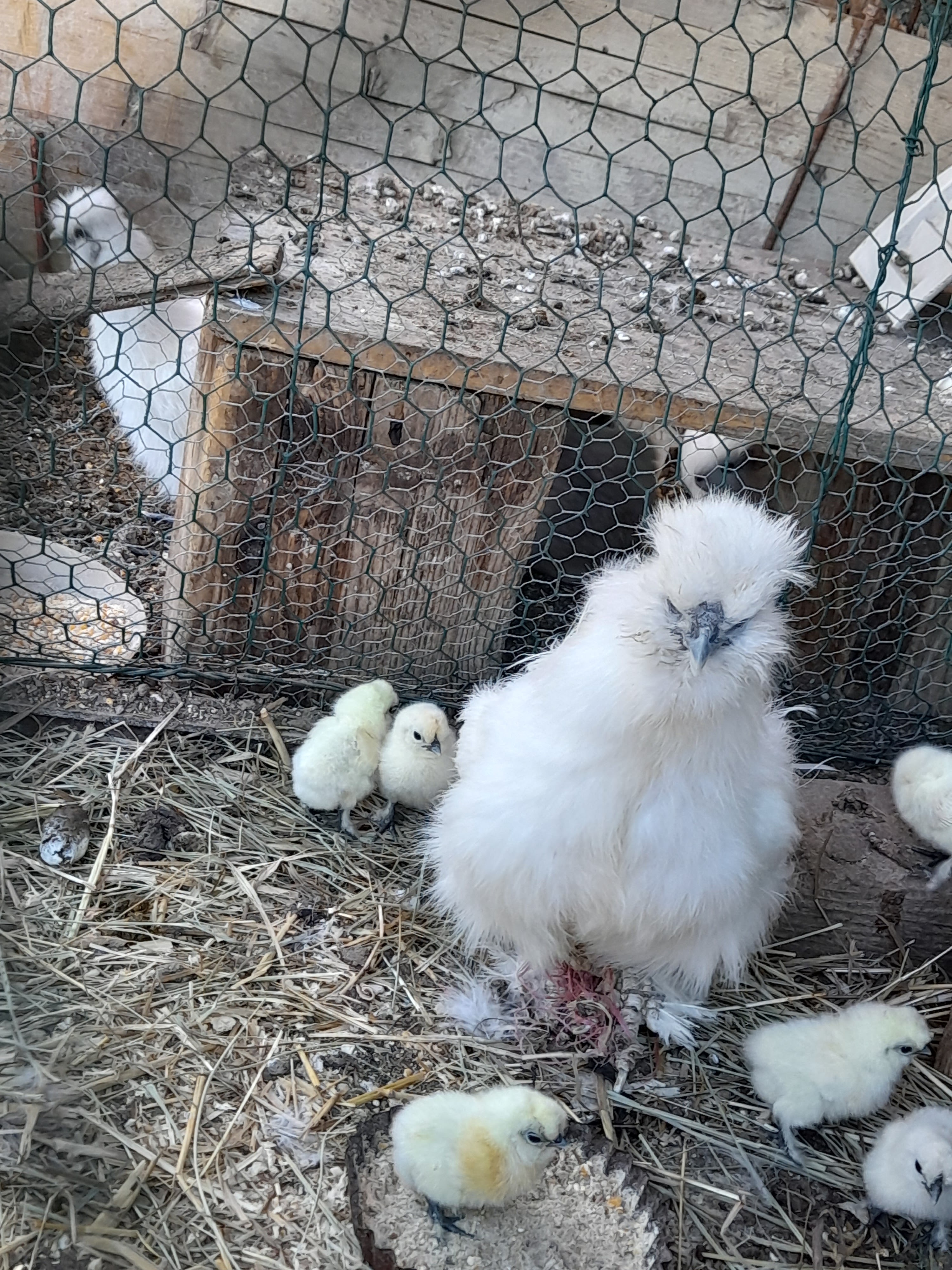 Photo n° 4 de l'avis de Aleksandra.a fait le 22/07/2022 à 07:57