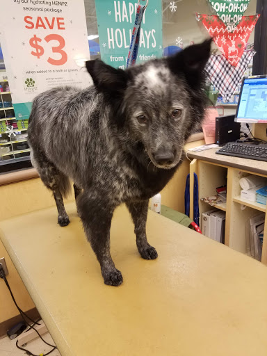 Pet Supply Store «PetSmart», reviews and photos, 1300 John F Kennedy Rd, Dubuque, IA 52002, USA