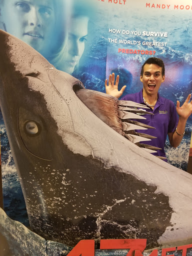 Movie Theater «AMC The Regency 20», reviews and photos, 2496 W Brandon Blvd, Brandon, FL 33511, USA