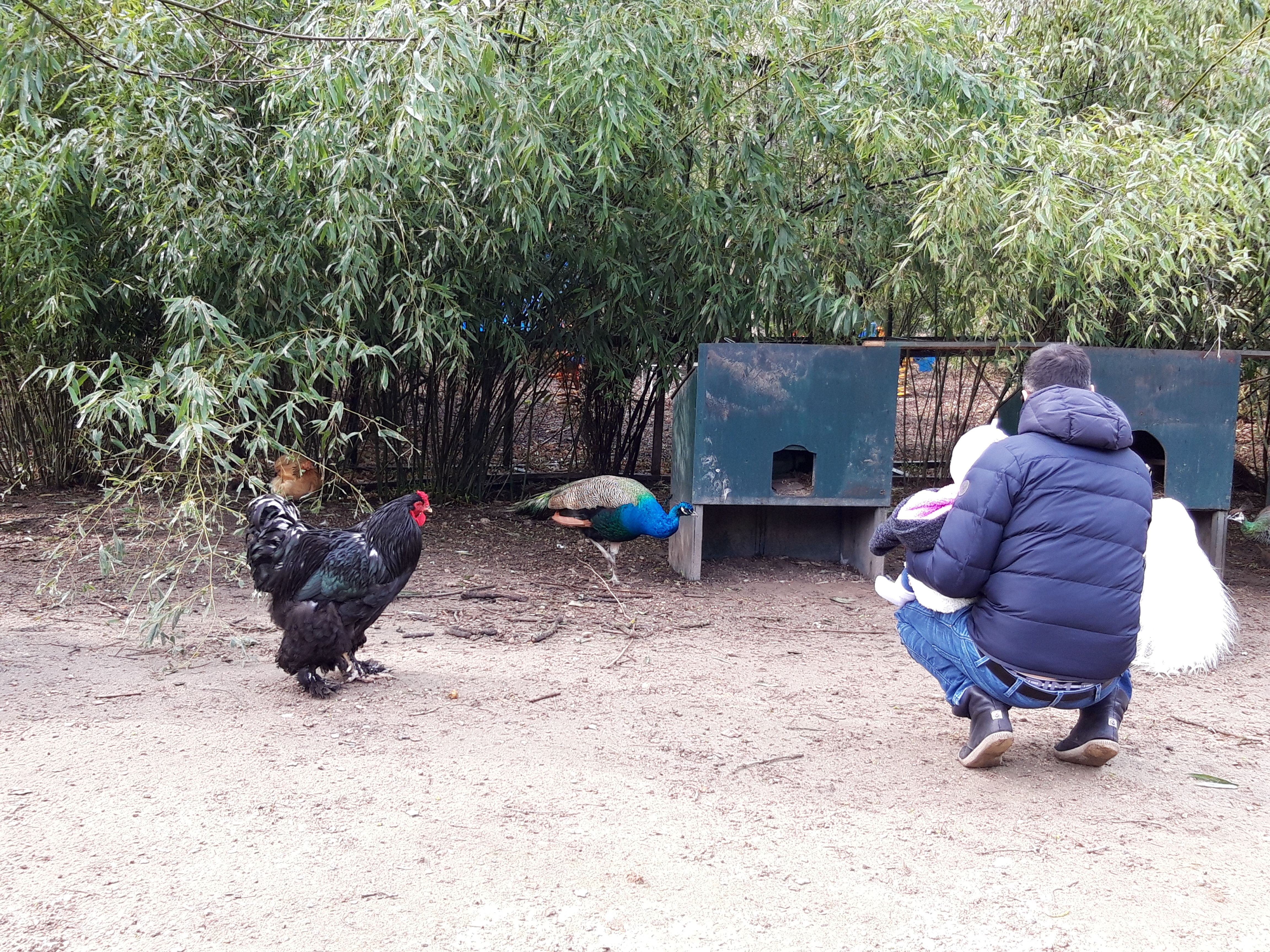 Photo n° 4 de l'avis de Marion.a fait le 27/03/2019 à 07:22