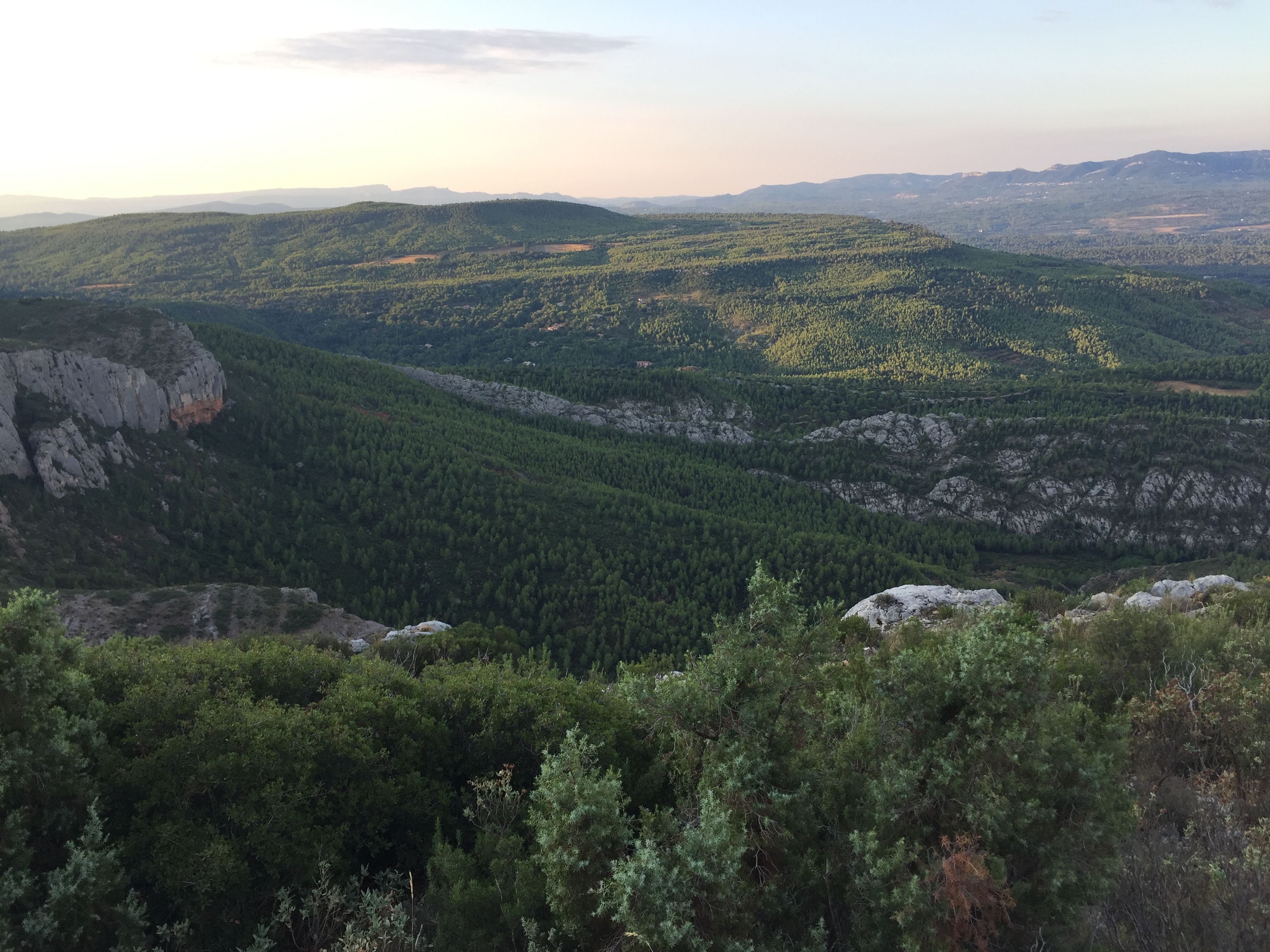 Photo n° 32 de l'avis de Woosuk. fait le 31/08/2019 à 11:22
