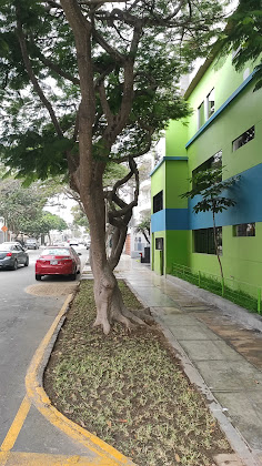 Vidéos hôtels Green House 15074 Miraflores