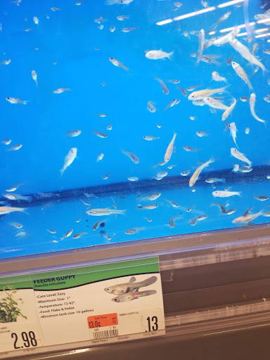 Pet Supply Store «Pet Supplies Plus», reviews and photos, 12407 MoPac Expy 525 - B, Austin, TX 78758, USA