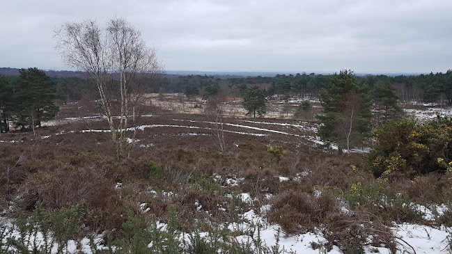 Comments and reviews of Chobham Common High Point/Sunningdale Golf Course