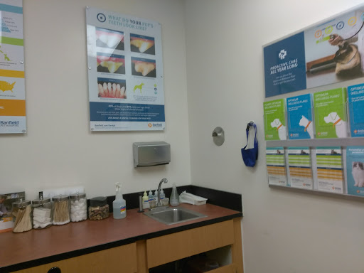 Pet Supply Store «PetSmart», reviews and photos, 7730 S Cicero Ave, Burbank, IL 60459, USA