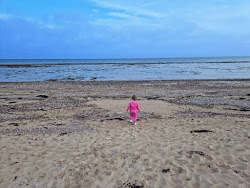Golspie Beach'in fotoğrafı imkanlar alanı