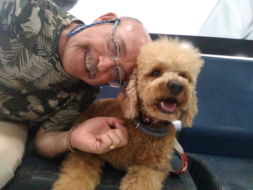 Canitas Centro Veterinario en Sevilla