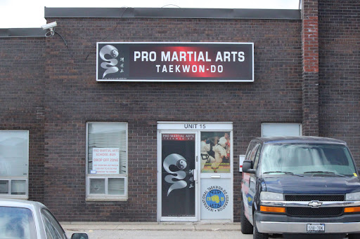 Pro Martial Art