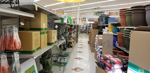 Pharmacy «Rite Aid», reviews and photos, 3795 W Shields Ave, Fresno, CA 93722, USA