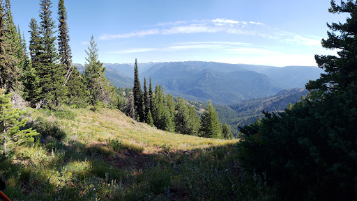 Cougar Ridge Trail