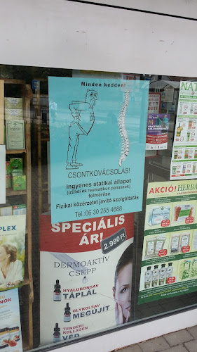 Pakó Mihály Csontkovács, Masszázs, Gerinctorna. - Masszőr